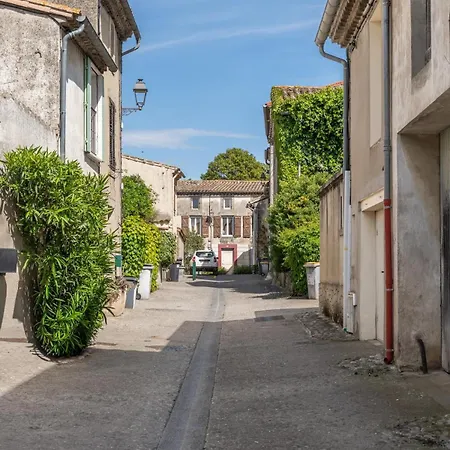 Elegant T3 - 1-4 Pers - A 10 Min De Carcassonne דירה Cavanac
